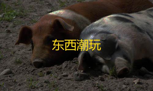 第五人格辅助位有哪些角色东西潮玩